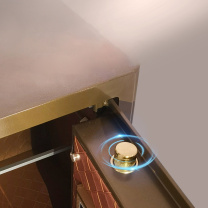 威伦司 WLS 指纹保管箱 BGX-D1-26UP 260*385*250mm (驼灰金) 15KG