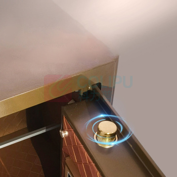 威伦司 WLS 指纹保管箱 BGX-D1-93UP 935*495*450mm (驼灰金) 74KG