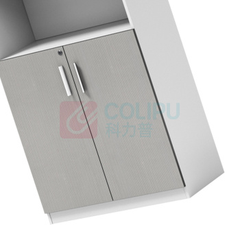 企诺 胶板文件柜 中柜 QNM202YP-SA1 W800*D400*H1200mm