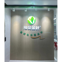 豫见金叶 亚克力水晶形象墙 8MM定制