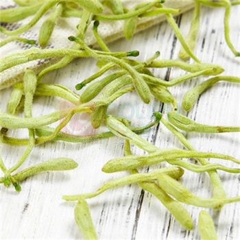 绿帝 GREEN KING 金银花 35g