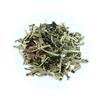 乐泡 白茶牡丹 4g/粒 10粒/盒