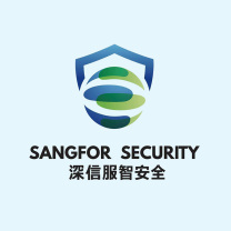 深信服 负载均衡系统软件 安全设备软件 一年期(AD-1600适用 CK) 