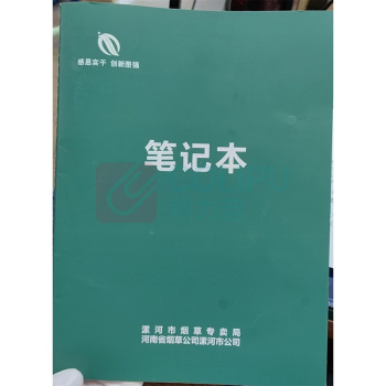 国产 定制笔记本 30页
