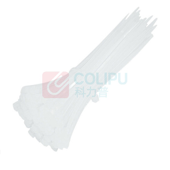 三堡 自锁式尼龙扎带 ZW-313 3*100mm(300条) (白色) (此价格不含运费)