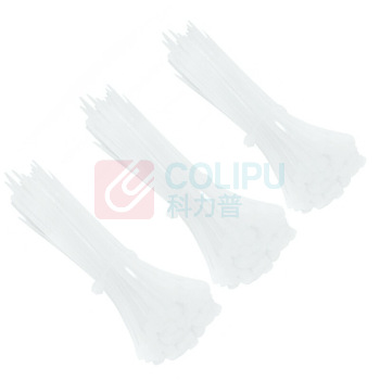 三堡 自锁式尼龙扎带 ZW-313 3*100mm(300条) (白色) (此价格不含运费)