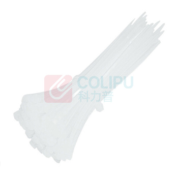 三堡 自锁式尼龙扎带 ZW-415 4*150mm(100条) (白色) (此价格不含运费)
