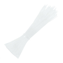 三堡 自锁式尼龙扎带 ZW-421 4*200mm(100条) (白色) (此价格不含运费)