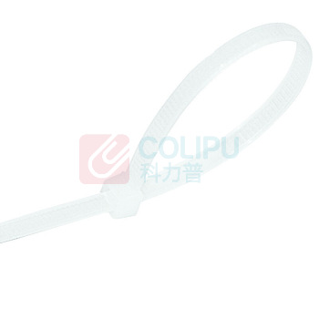 三堡 自锁式尼龙扎带 ZW-521 5*200mm(100条) (白色)