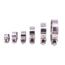 安赛瑞 不锈钢欧式强力喉箍304 22660 92-97mm (5个装)