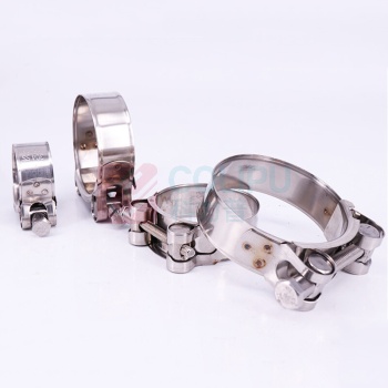 安赛瑞 不锈钢欧式强力喉箍304 22664 122-130mm (2个装)