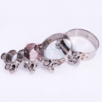 安赛瑞 不锈钢欧式强力喉箍304 22664 122-130mm (2个装)