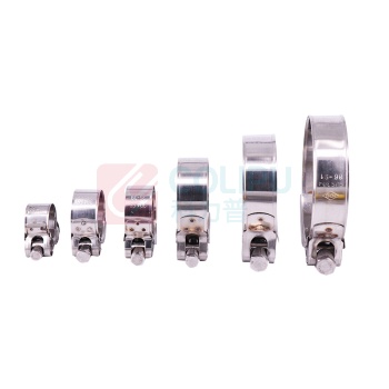 安赛瑞 304不锈钢欧式强力喉箍 22665 (2个装) 131-139mm