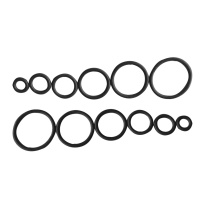 安赛瑞 FKM氟橡胶o型圈密封圈 22087 GB1235-76 外径22×2mm(100个装) (黑色)