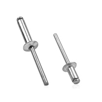 安赛瑞 不锈钢抽芯铆钉 22670 304不锈钢 4×6mm 1000支装