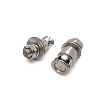 安赛瑞 不锈钢敲击式背栓螺丝 M6×35mm 20个装