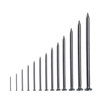 安赛瑞 铁钉 22286 (1kg装) 20mm