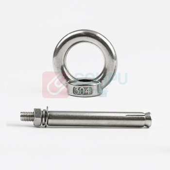 安赛瑞 304不锈钢带圈膨胀吊环 带环膨胀螺丝 22888 M10×120mm(5个装)