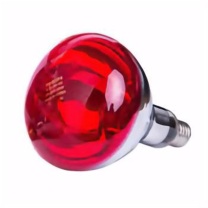 飞利浦 PHILIPS 红外线灯泡 250W E27 10个/箱 IR 250 RH IR2