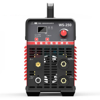 大焊 氩弧焊机 WS-250 220v 4米枪【节气款两用】