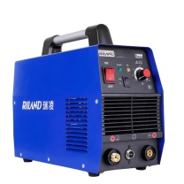 瑞凌 电焊机单用电焊机两用 WS-200A 220V 逆变直流不锈钢