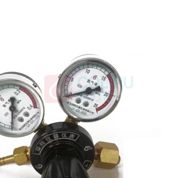 国胜 氮气减压器 YQD-06型