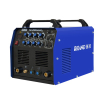 瑞凌 轻工业氩弧焊机 TIG-250P 焊枪+地线+气表+头戴焊帽+钨针等配件 (含维修费)