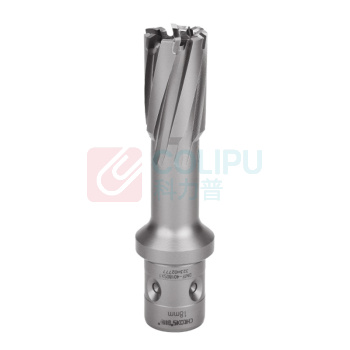 创恒 CHTOOLS F型四孔柄钢板钻(带台阶改进型) DNTF-40180SX1 18*50 硬质合金