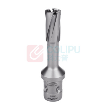 创恒 CHTOOLS F型四孔柄钢板钻(带台阶改进型) DNTF-40140SX1 14*50 硬质合金
