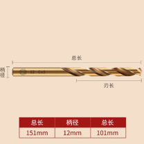 天工 天工直柄麻花钻头 12 HSCO钴高速钢