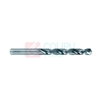 HOLEX 麻花钻 114405 5,3 HSS/E N Φ D<sub>C</sub> h8 5,3 mm