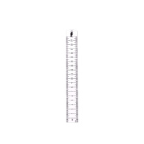 派智达 PAIZHIDA 不锈钢直尺 2cr13 200mm