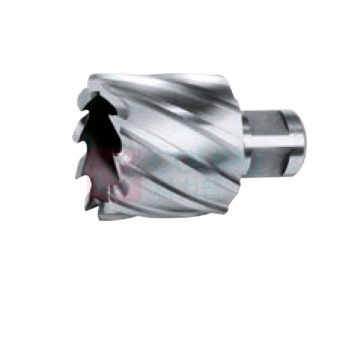 Format 空芯钻 13374930 49mm,19mm Weldon Shank 最小起订量1/材料 HSS-Co