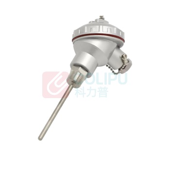 南派克 温度传感器 WZPK-236 L-200. -50-400℃,耐高温200℃ 配不锈钢接线盒和硅胶密封圈 不带检查报告