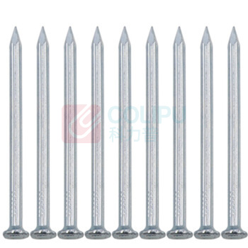大工象 圆钉 碳钢镀锌 2.5*25mm 410个/盒