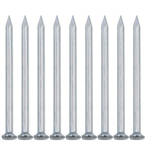 大工象 圆钉 碳钢镀锌 2.5*25mm 410个/盒