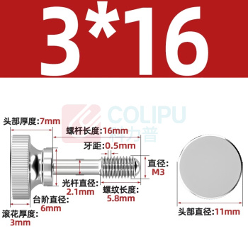 优企 不锈钢螺丝钉 3*16mm 2个/组