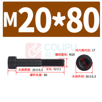 极一 半牙螺钉 M20*80 12.9级内六角