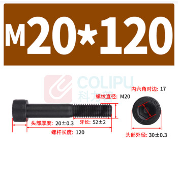 极一 半牙螺钉 M20*120 12.9级内六角