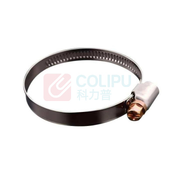 晶事达 304美式抱箍 Φ300×45×1