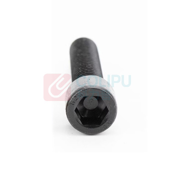 罗德力 内六角杯头螺丝 M16×75 8.8级公制 (发黑) (淬火)GB70全牙{P2.0)10个/包