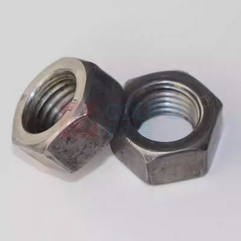 晶事达 六角螺母 M12mm 4.8级\碳钢 单颗