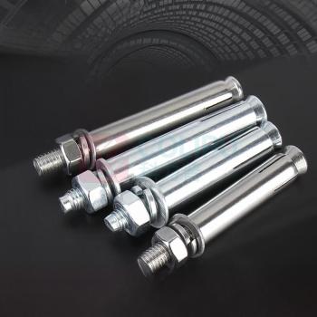 晶事达 膨胀螺栓 M12×60 304