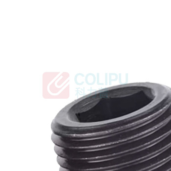 日麟 内六角螺塞 NPT1/8=1分 高度7mm