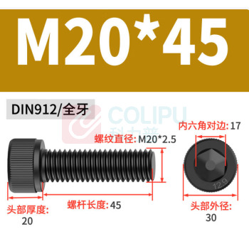 极一 螺钉 M20*45 12.9级内六角