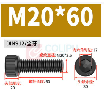 极一 12.9级内六角螺钉 M20*60