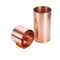勋狸粑 铜皮垫片 0.5mm*100mm*1米