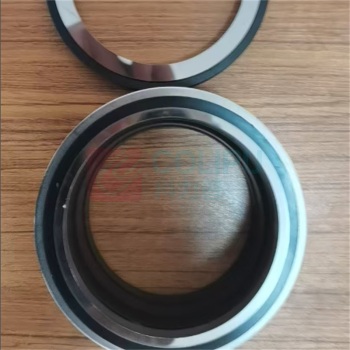 XMSJ 机封 BN100-6L
