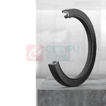 茂顺 NAK TC 骨架油封 10003036750 内径9mm 外径20mm 高度6mm (NBR)