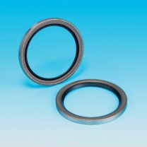 茂顺 NAK SA 骨架油封 10001007613 内径300mm 外径335mm 高度18mm (FKM)